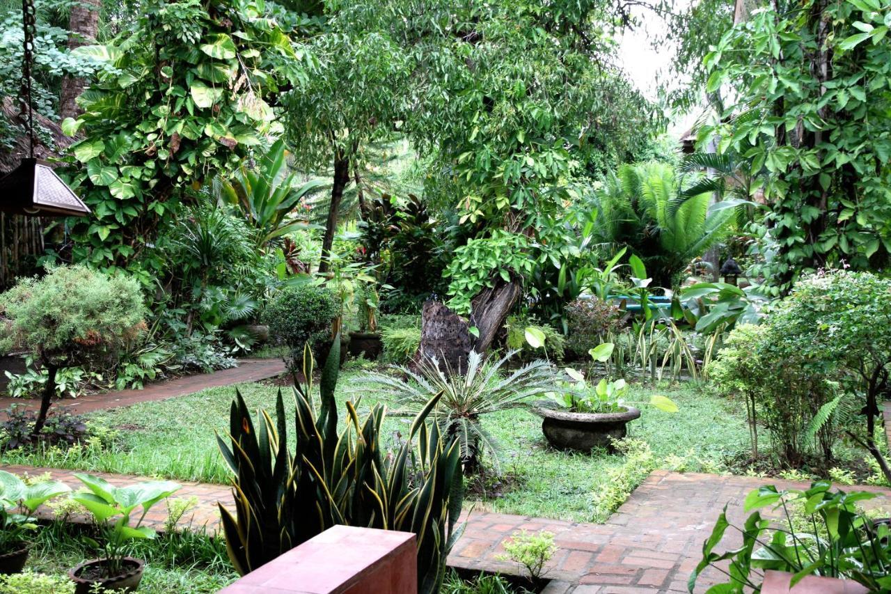 Rumah Kita Lovina Стая снимка